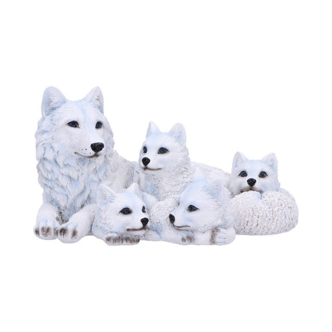Pups Protection 20.5cm - 100