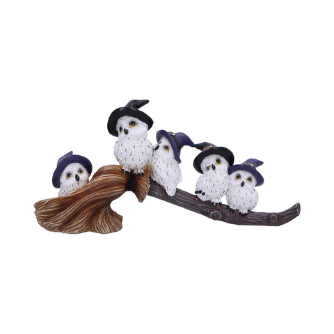 Feathered Broomstick 26cm - 100