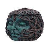 Tree Spirit Treasure Box 13cm - 100