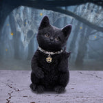Metallicat 16.5cm - 100