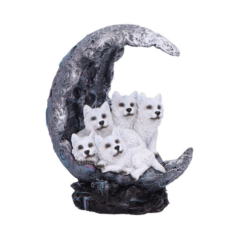 Moon Litter 19.5cm - 100