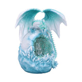 Northern Lights 20cm - 100