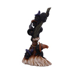 Broomstick Kindle 21cm - 100