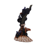 Broomstick Kindle 21cm - 100