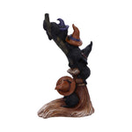 Broomstick Kindle 21cm - 100