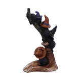 Broomstick Kindle 21cm - 100