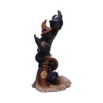 Broomstick Kindle 21cm - 100