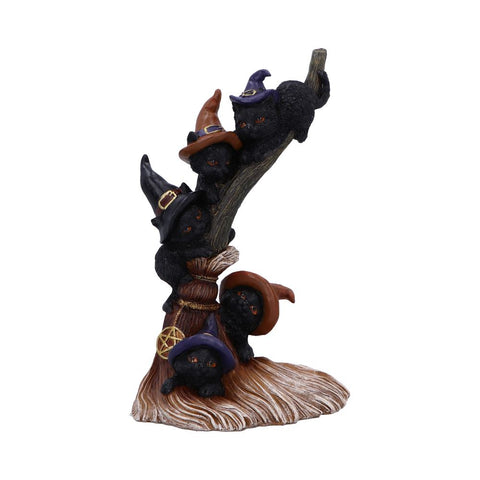 Broomstick Kindle 21cm - 100