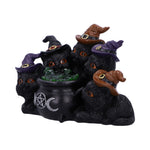 Kindle's Potion 18.5cm - 100