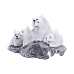Winter Litter 25cm - 100