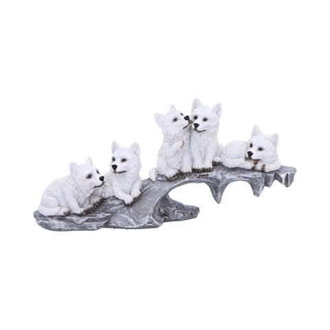 Winter Litter 25cm - 100