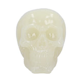 Phosphorescent (Medium) 13cm - 100