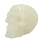 Phosphorescent (Medium) 13cm - 100