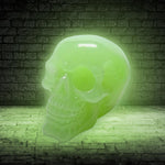 Phosphorescent (Medium) 13cm - 100