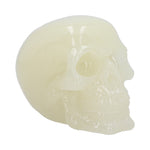 Phosphorescent (Medium) 13cm - 100