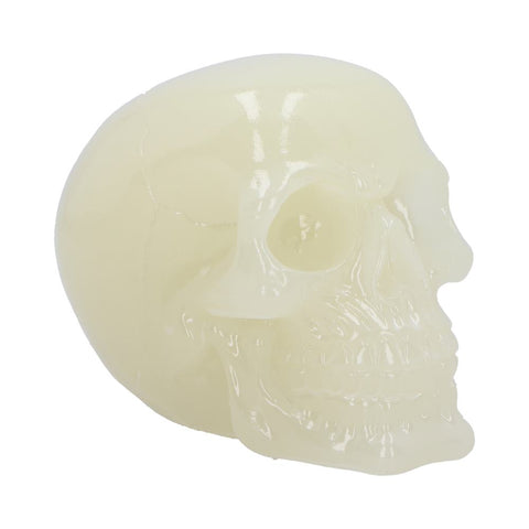 Phosphorescent (Medium) 13cm - 100