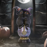 Kittens Orbuculum 19cm - 69