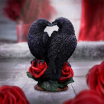 Raven Romance 20cm - 0