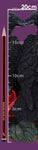 Raven Romance 20cm - 0