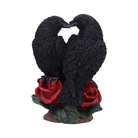 Raven Romance 20cm - 0