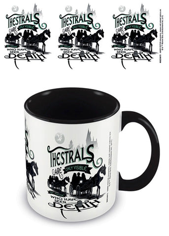 HARRY POTTER - COLOURED INNER MUG - THESTRALS BLACK